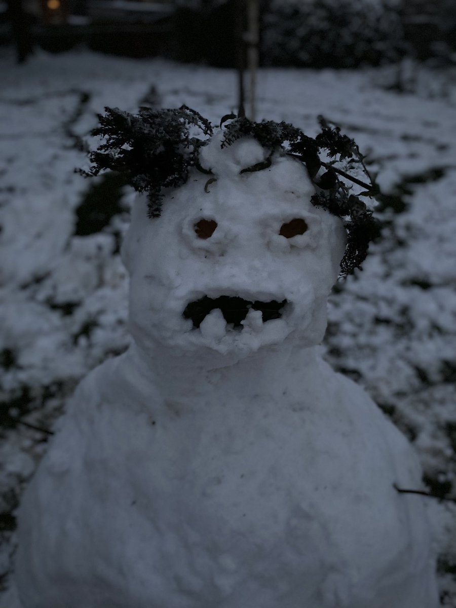 Dominic Preston tweet media