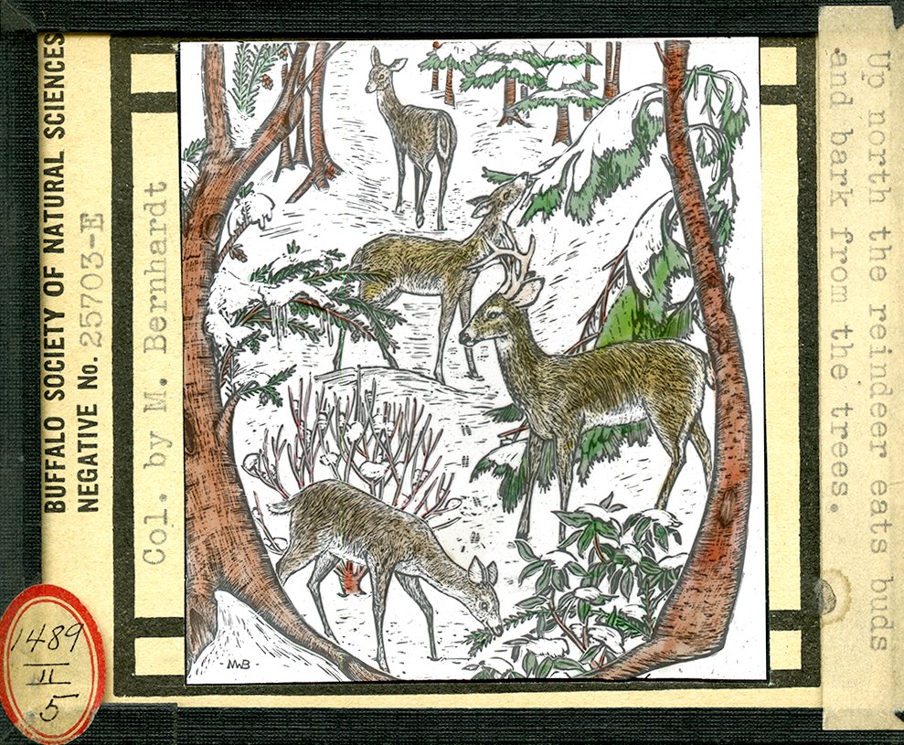 Join us as we move toward the winter solstice for 'Spirit of the Archive,' this Thursday, 7-9pm, at VSW. Part holiday-party, part open archive, we will conjure the spirit of the lantern slide collection and show holiday 16mm films!