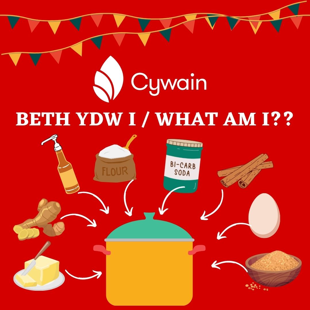 ♥️🌟☃️
Beth am i ni brofi eich gwybodaeth am fwyd. Allwch chi enwi'r rysáit hwn yn seiliedig ar y cynhwysion yn unig?? #HwylYrŴyl 

How about we test your food knowledge. Can you name this recipe based on the ingredients alone?? #FestiveFun