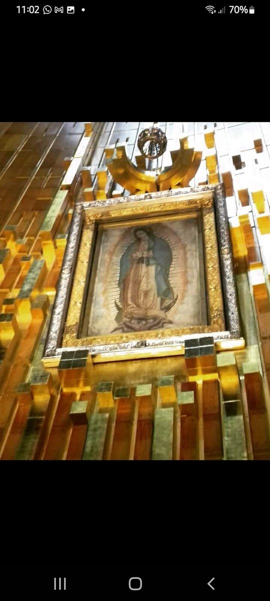 Bernardo Gutiérrez Hidalgo tweet media