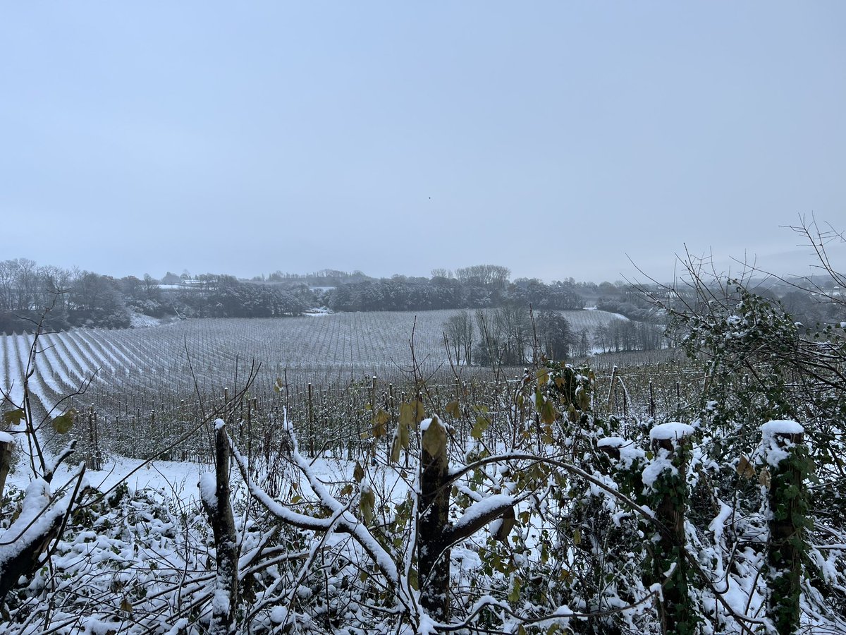 Pest Control Kent (@pesttechltd) on Twitter photo Not a lot of #pestcontrol going on today. Some say #snowday but for me it was go for a walk, clear the head and then reschedule our technicians jobs from today. #MentalHealthMatters Not a lot of #pestcontrol going on today. Some say #snowday but for me it was go for a walk, clear the head and then reschedule our technicians jobs from today. #MentalHealthMatters