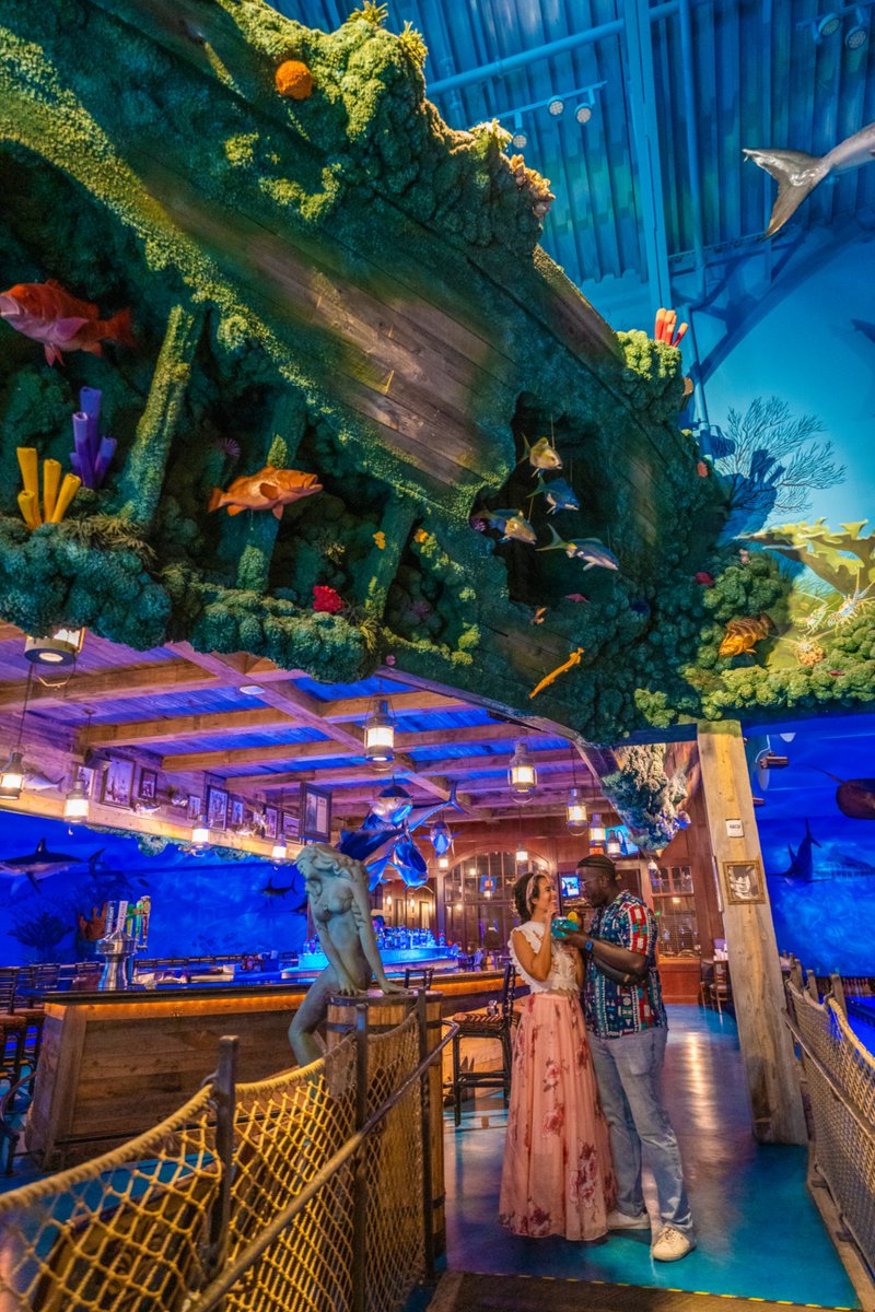 🎳 In <a href="/CurlyAdventures/">MyCurlyAdventures - TX Travel Creator</a>' round-up of things to do in #RoundRock, Uncle Buck's is a must-do! This underwater-themed bowling alley &amp; restaurant is plenty of fun for the whole family! #GoRoundRock #PlayRoundRock
→ bit.ly/3zSgh0N