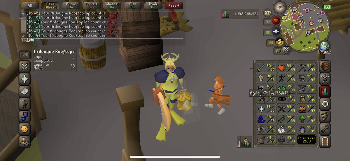 MoldRs's tweet photo. Doing some Mobile Agility for the next few days. Last skill I need for base 100 skills on the Zerk! I should be back on Thursday this week, so expect a stream Thursday or Friday! #osrs #post99 #runescape https://t.co/I2TpUbIWqw