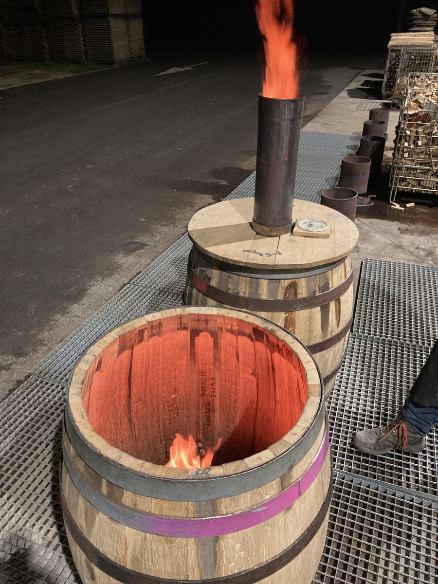 🥂🍾Reportage en Champagne pour une fable de Noël que l'on pourrait appeler: "L'arbre, la vigne et le vigneron". Le chef de cave du Domaine Henri Giraud, Sébastien Le Golvet bichonne ses arbres autant que ses vignes ! Le résultat: un champagne d'exception qui sent bon le terroir.