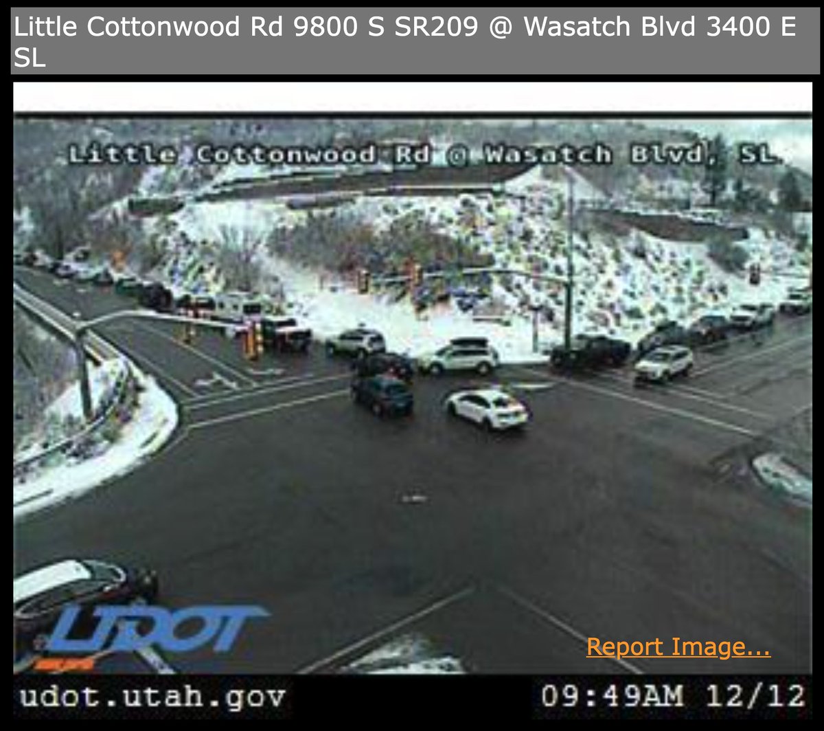 TonyKorologos's tweet image. Looks like flustercluck mode. #lcclife