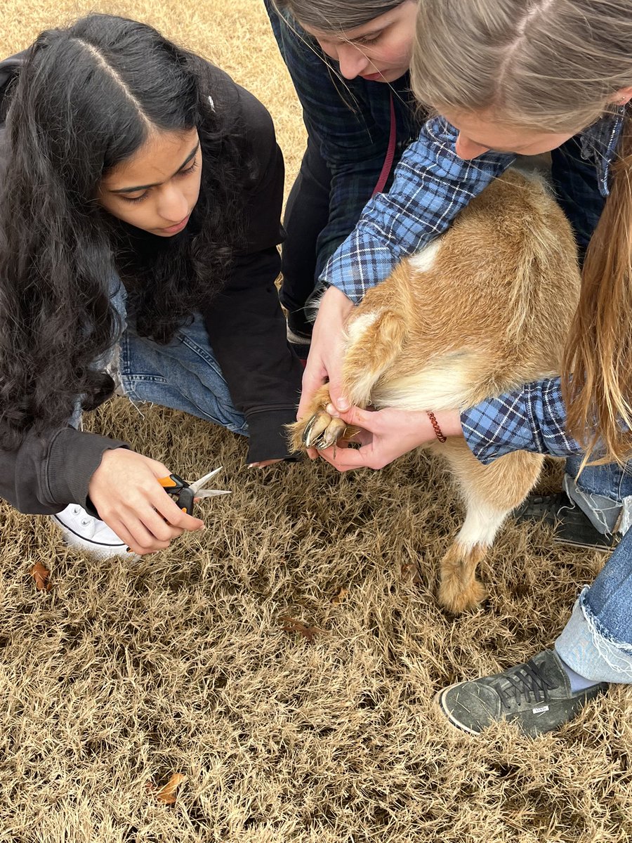 Collierville Middle Agri-STEM tweet media