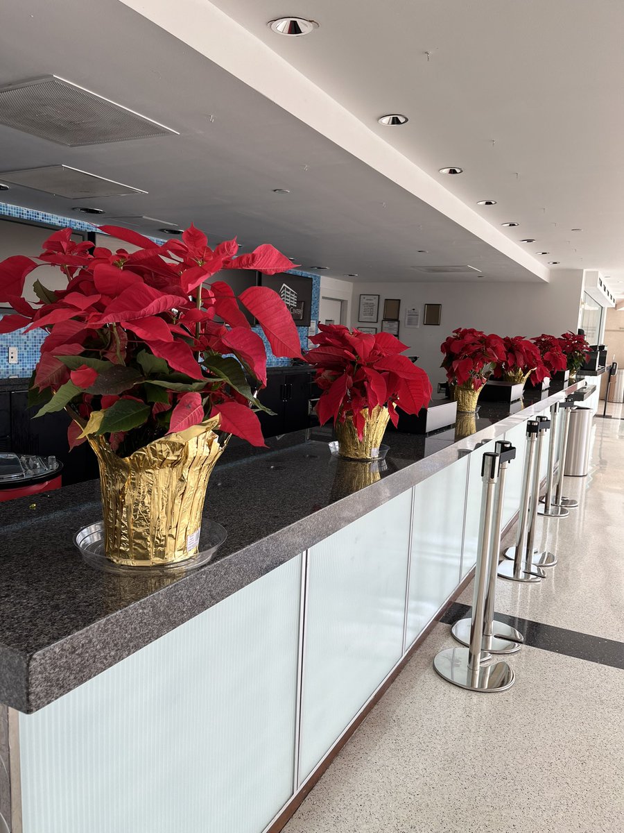 It’s National Poinsettia Day and no one does poinsettias like the Eisemann Center! Tag us in your photos with the poinsettia tree in the lobby. We’d love to see your holiday cheer!