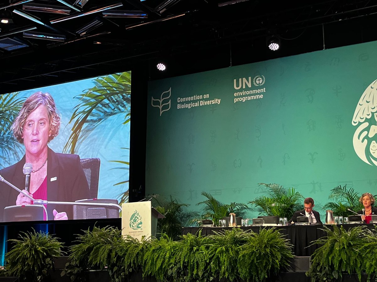 "California has a budget of 2 billion USD for programs that support nature. We're looking towards bringing nature back to cities through habitat restoration, urban greening, and recognizing that nature and humans can thrive together." @jmpnorris <a href="/CalNatResources/">California Natural Resources Agency</a> #COP15