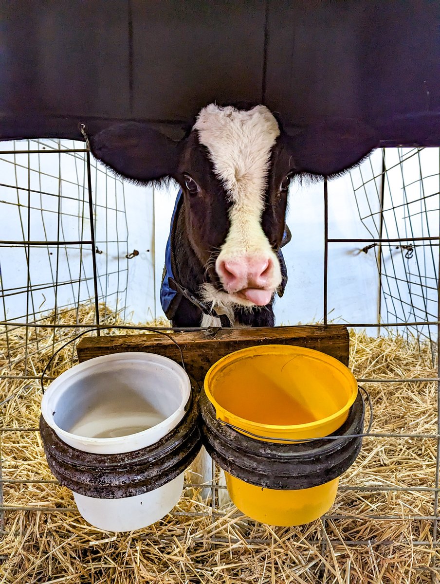 HFM_PTECH's tweet photo. Students in our Animal Science program recently visited Dygert Farms Creamery. 🔗READ MORE: https://t.co/Dx4iSZC0HD https://t.co/B62EKfFtGt