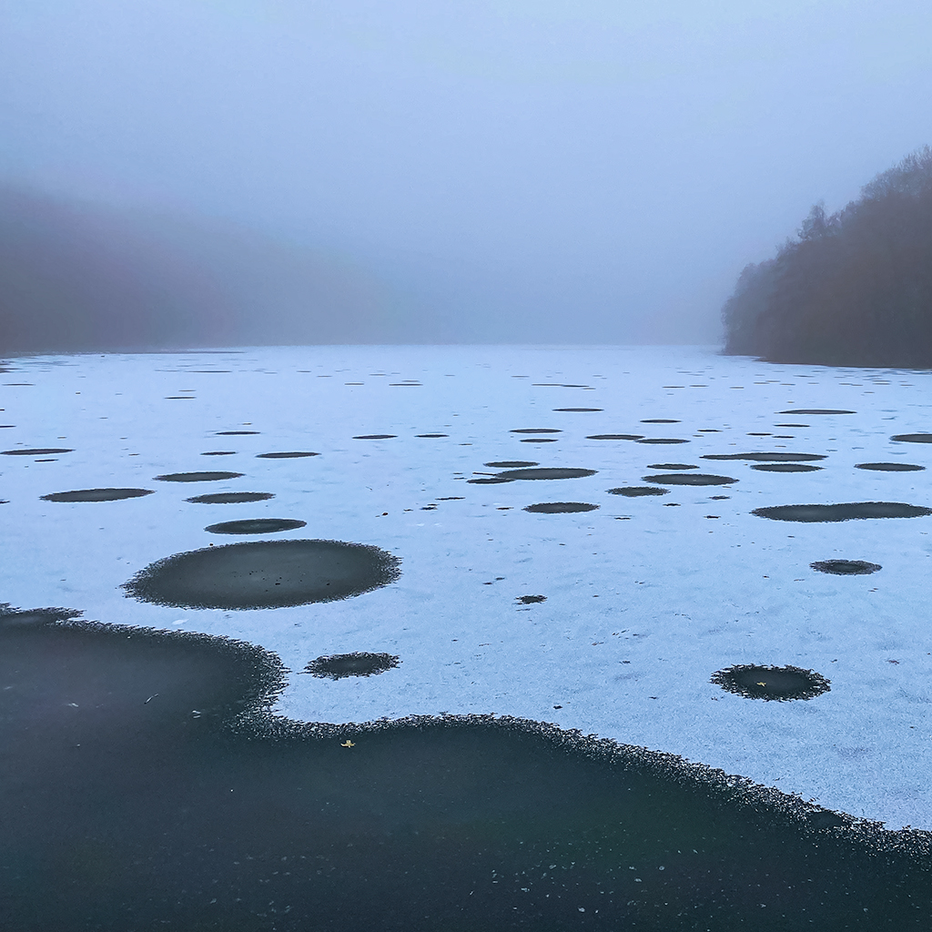 Wild_Yorkshire's tweet photo. Newmillerdam: below zero and the lake looks like the surface of another planet. Definitely a morning to head for the Boathouse Cafe for a latte and to draw this Alsatian with very mobile and expressive ears.
#newmillerdam #alsatian #drawingdogs
https://t.co/P6Ct9Z5MSi https://t.co/GeKPtdw0r9