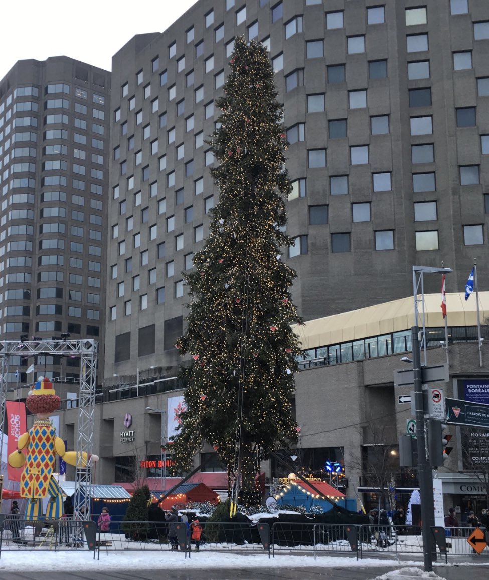 Le sapin laid.
6 ans déjà.