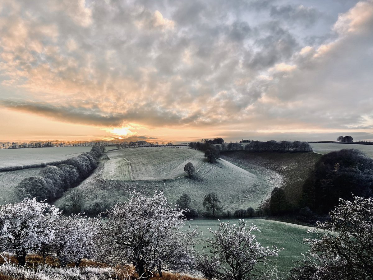 An Icy Sunset. -3°C with rime on the trees. A Tawny owl in the valley.