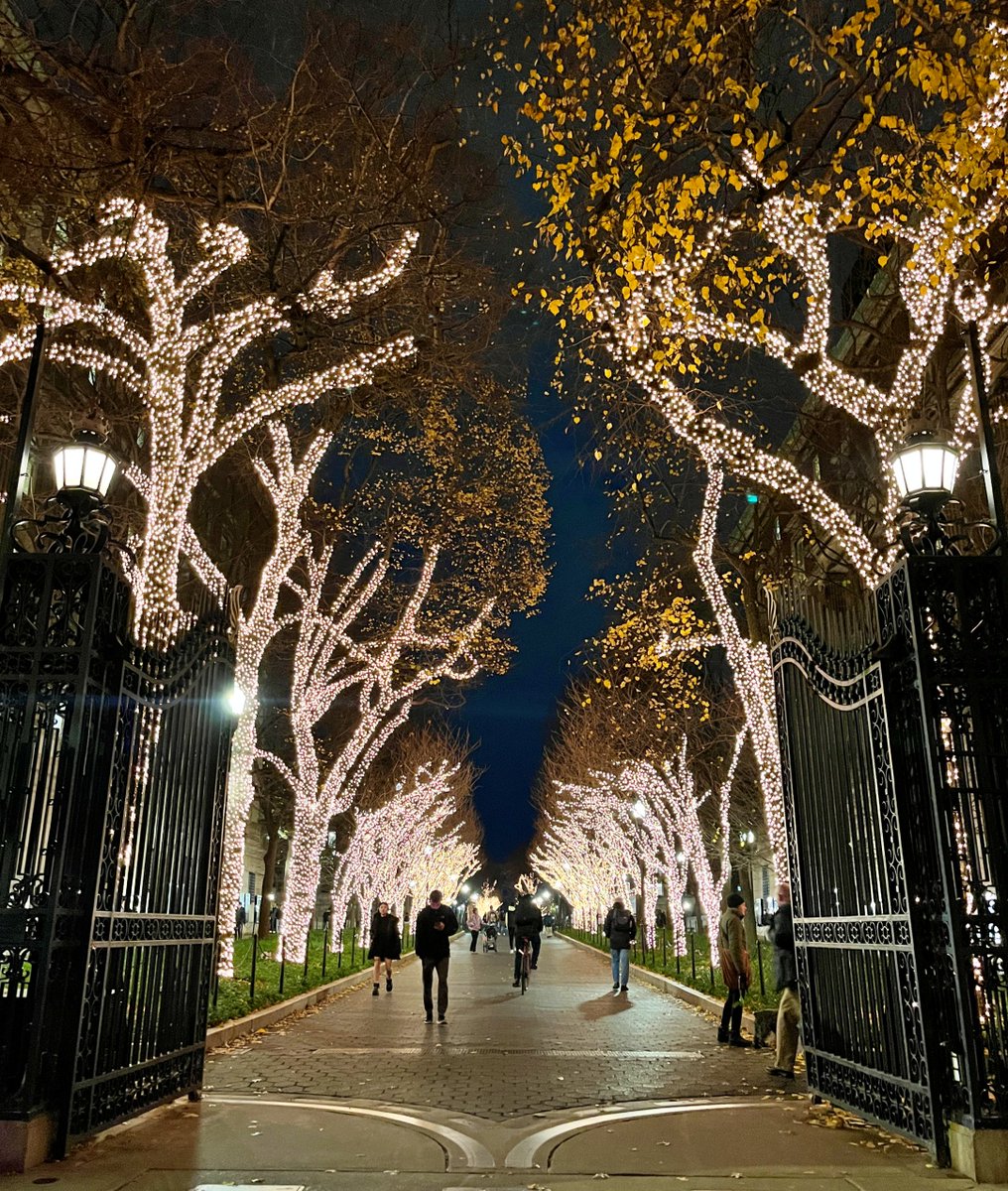 TeachersCollege's tweet photo. Shine bright, friends. โจ Wishing our students the best of luck as they head into finals. You've got this! ๐ #CUatTC https://t.co/4HnBECsrWA