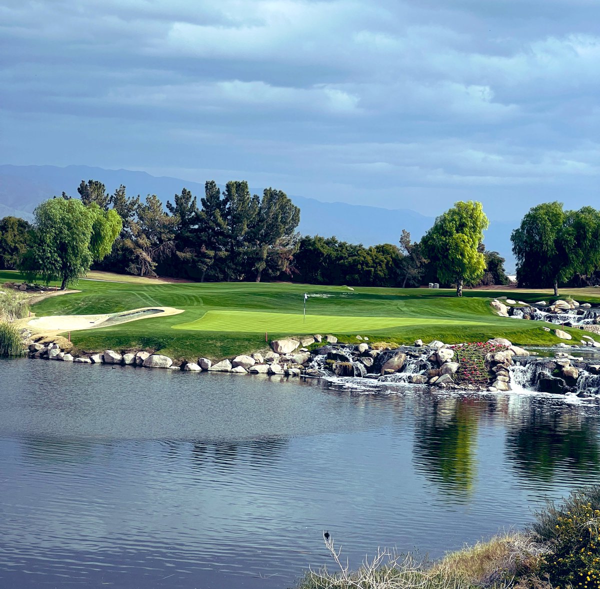 Rick Golfs tweet media