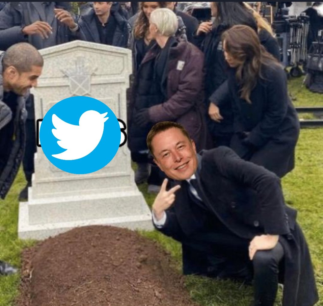 TheBergerMK2's tweet photo. @realMeetKevin @elonmusk More fixed https://t.co/3iGACtplkP