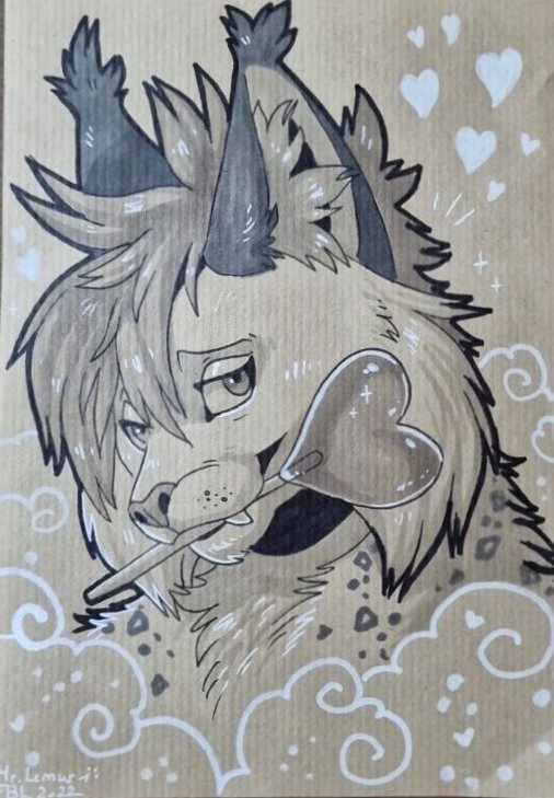 MeiCayler tweet media