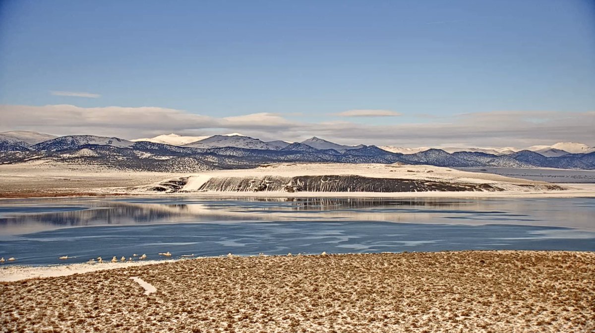 Mono Lake 12-12-22 02:19 PM parks.ca.gov/live/monolake