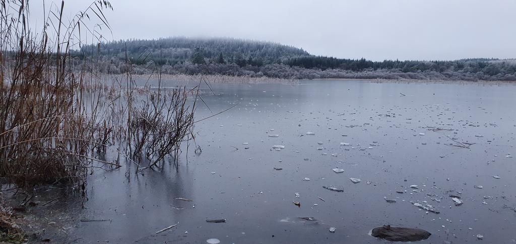 Frozen solid at Ballygawley Lake! #lovesligo #sligomoments #sligo #ireland #meteireann