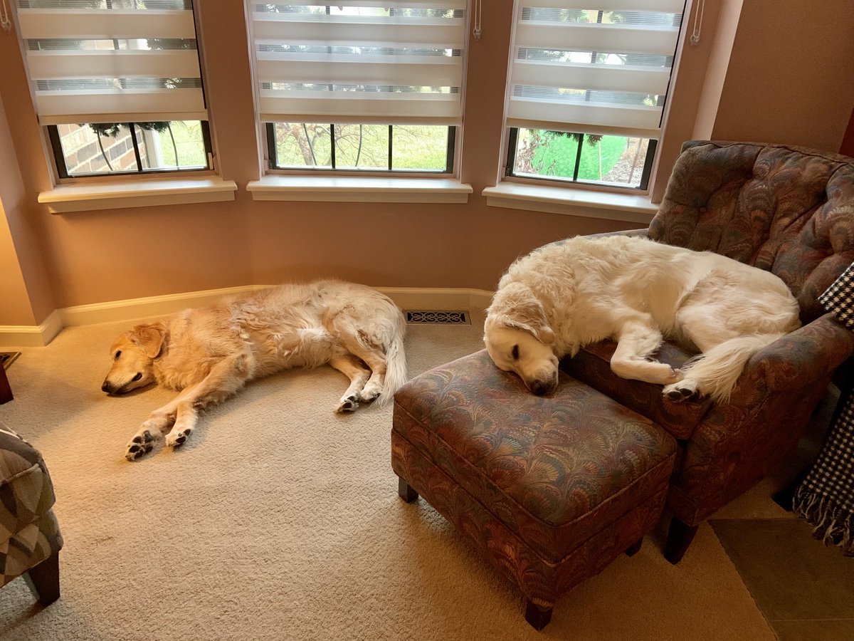 Huckleberry & Holly-berry tweet media