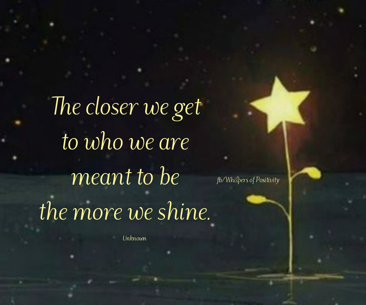 Inspiration & More tweet media