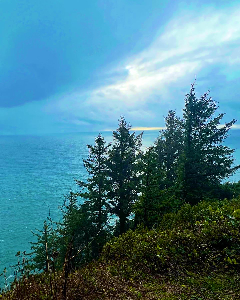 AdubToGo's tweet image. Thanks so much to those who helped honor the memory of my late-partner, Kaitlyn and our late-son, Grady. 

We ended up with over $5000 going directly to people experiencing homelessness and housing instability. ❤️