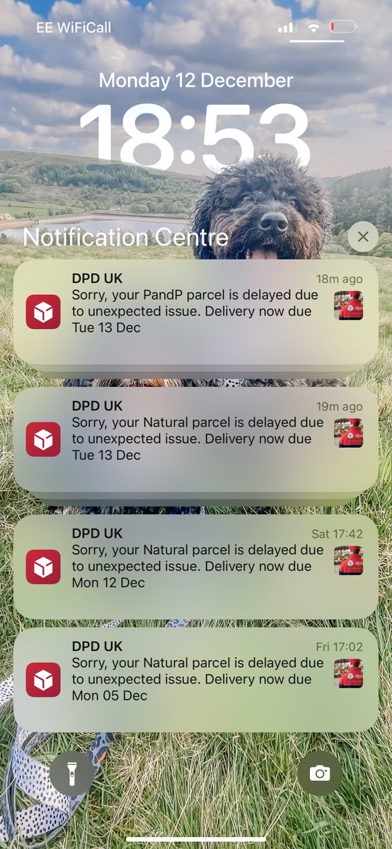 As if small businesses aren’t struggling enough with a looming recession but promising me day after day a delivery of products I need to send out to customers is a joke <a href="/DPDgroup_news/">DPDgroup</a> customer services have been so rude and not even having an option to collect it. Absolute joke!!