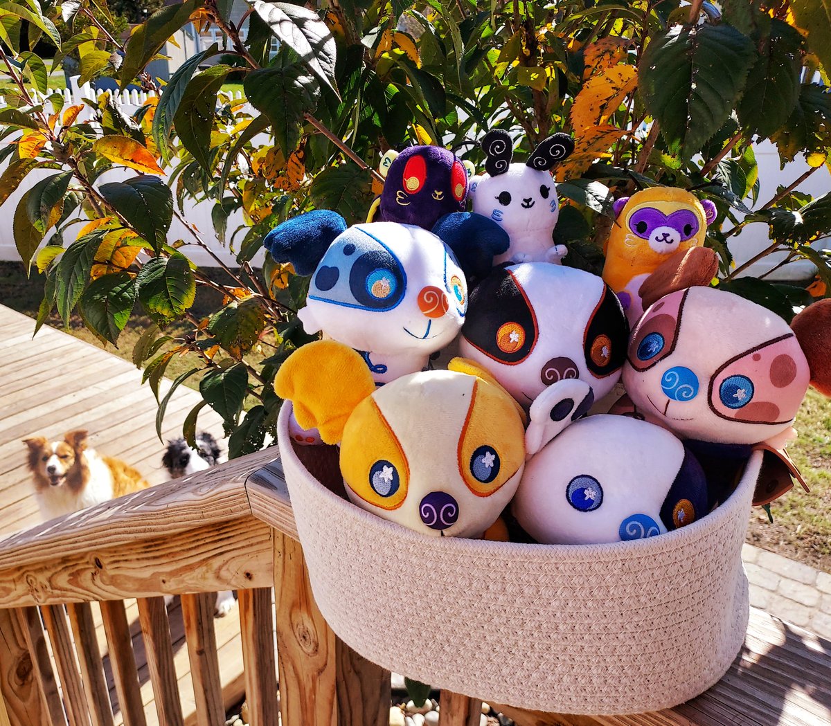 sunnycritters's tweet image. 🐶⭐HOLIDAY PLUSH GIVEAWAY!!!⭐🐶

To welcome Husky and Golden Retriever into our Snuggle fam, we are doing another giveaway!

TWO WINNERS will get a plush of their choice!!

TO ENTER:
❤️ &amp;amp; 🔃 
Follow here or @littlesofts 
Comment with a pet photo for extra chances!

GOOD LUCK!!!