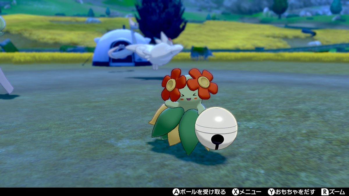 ソードシールド キレイハナの種族値 わざ 特性など能力と入手方法 ポケモン剣盾 攻略大百科
