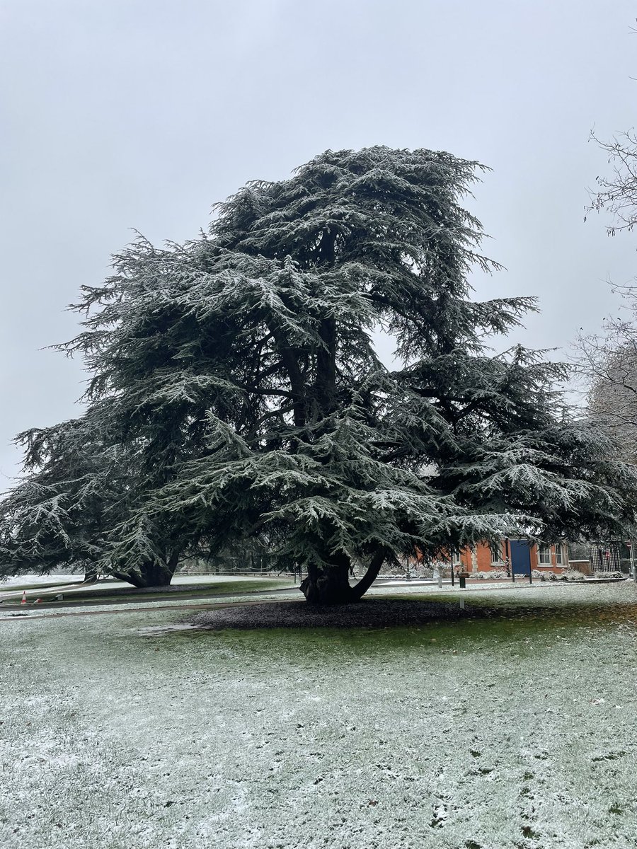 ChrisPHoworth's tweet image. Winter has arrived…!