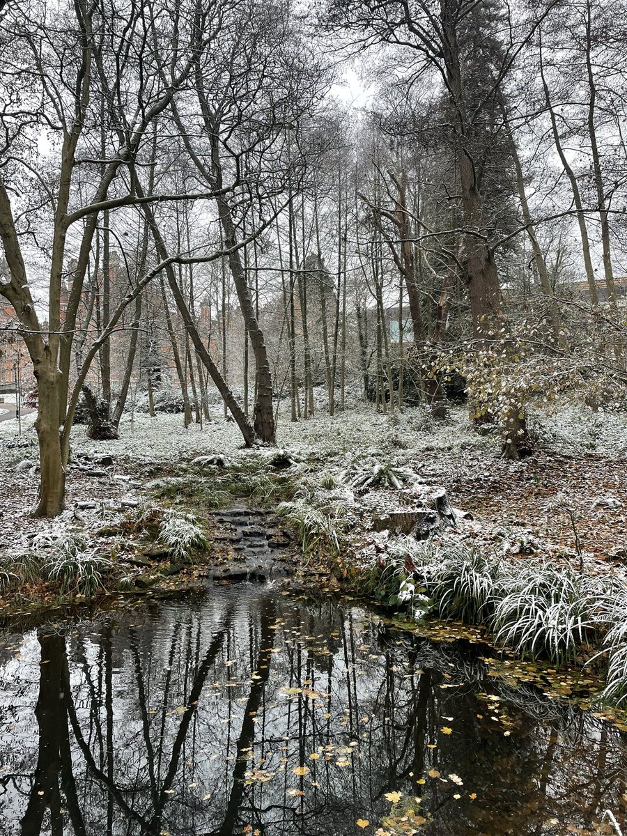 ChrisPHoworth's tweet image. Winter has arrived…!