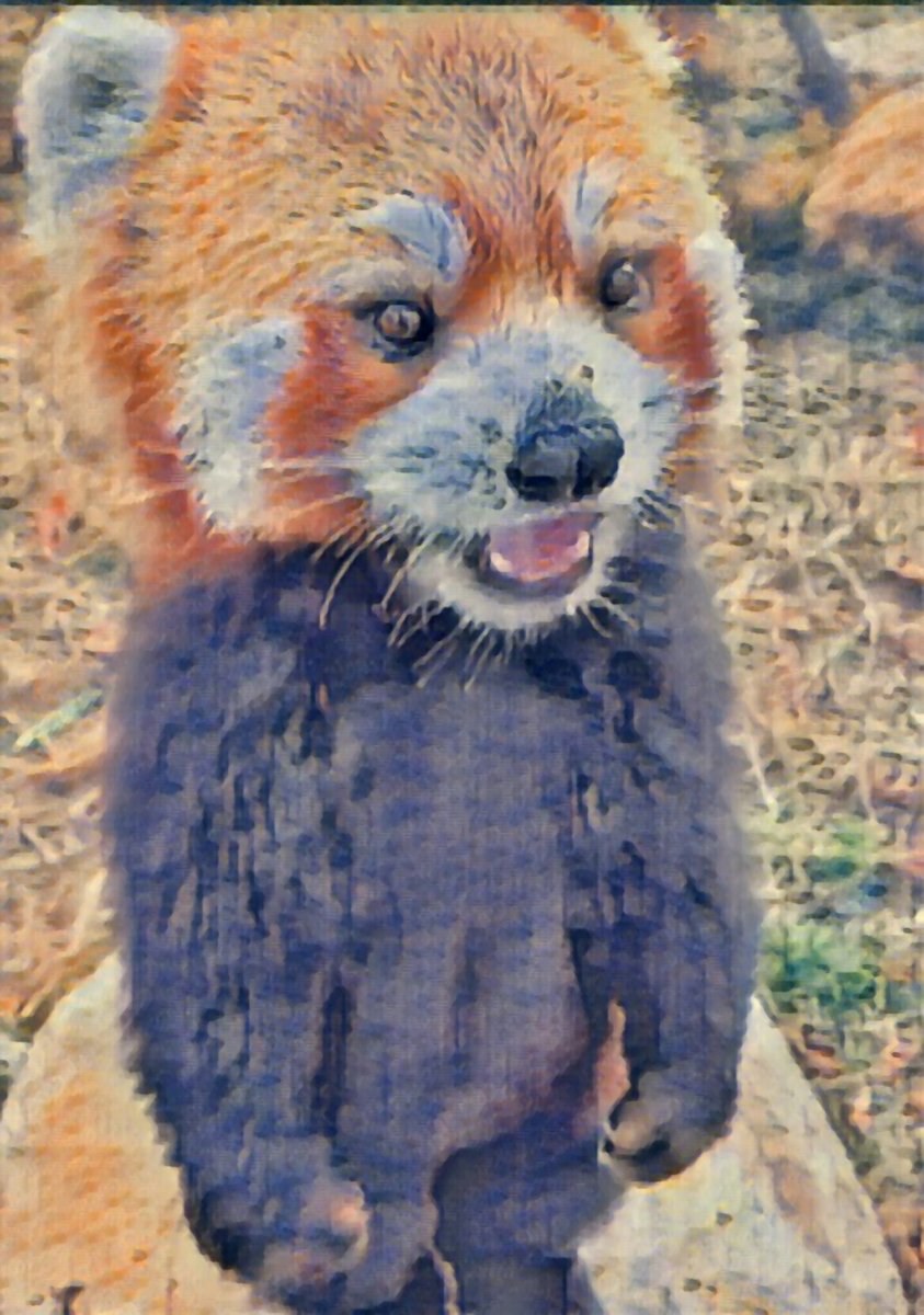 Mr_ProjectX's tweet image. Red Ailurus NFT 
He is last from His Familly

And you Dont want Buy NFT From 1$ Thank you 😭
#NFT
#NFTsOnLayer3
#NFTCommunity
#NFTsales
#openseaart
#opensea
#ETH
#BTC      
#NFTCommuntiy
Creator  : ProjectX

🏷️Floor Price 0.0009 ETH

🌊Opensea Link 
opensea.io/assets/matic/0…