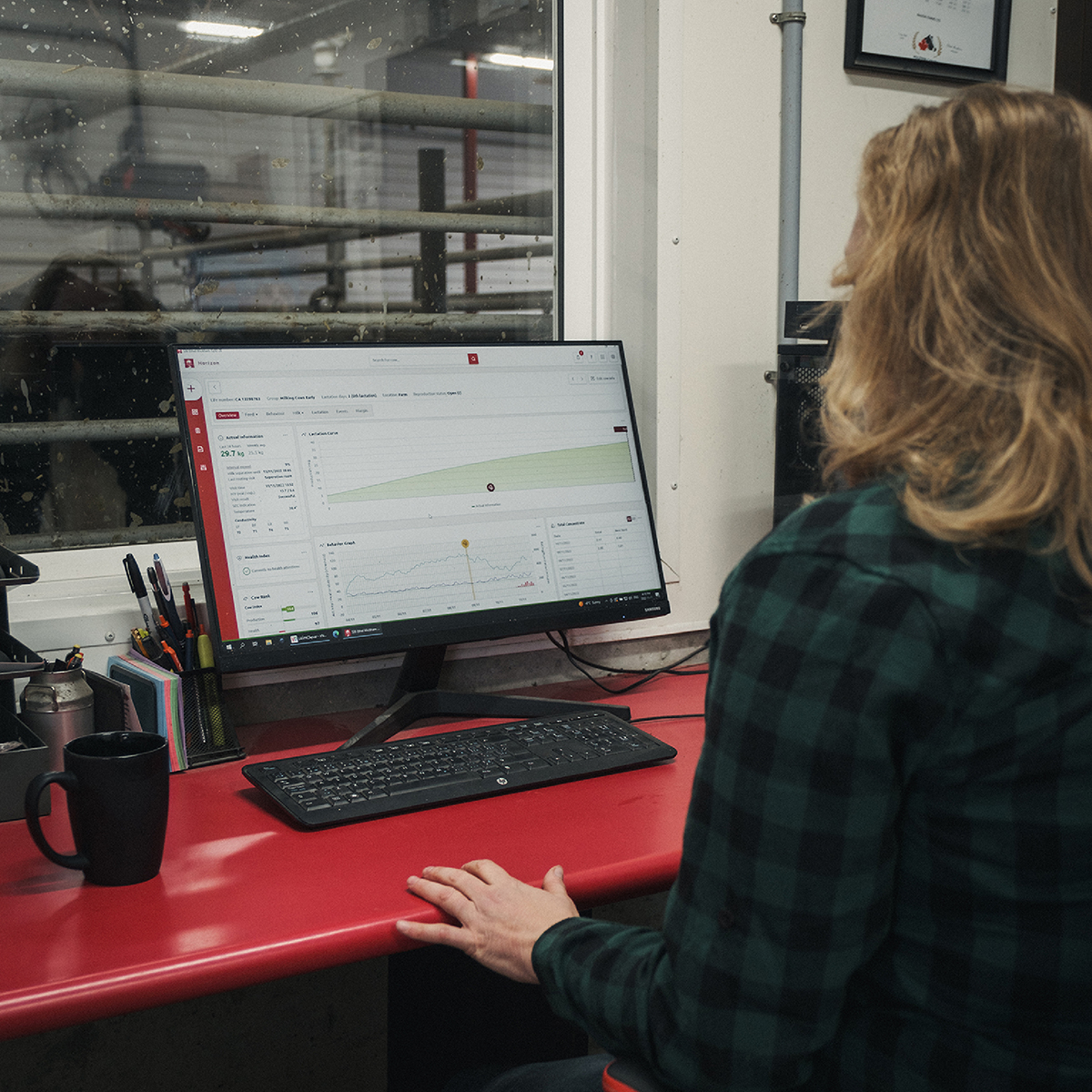 Many farms in Manitoba have automated milking systems, which allow cows to choose when and how often they get milked. The system does the milking, which adds consistency to a cow’s daily routine, and gives farmers time to spend with cows that need any extra attention.