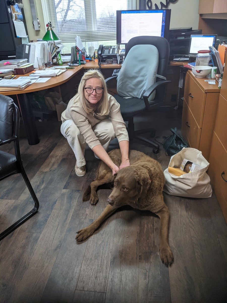 SOCKMONK39's tweet photo. Needed a support dog to get over my recent lunch snub. #festivenot https://t.co/9t3MUbN0hM