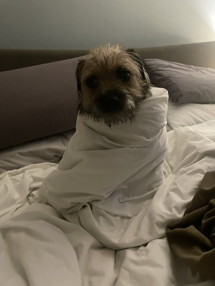 What is a Walnut Whip anyway... and what makes you so sure I am one? #BTPosse