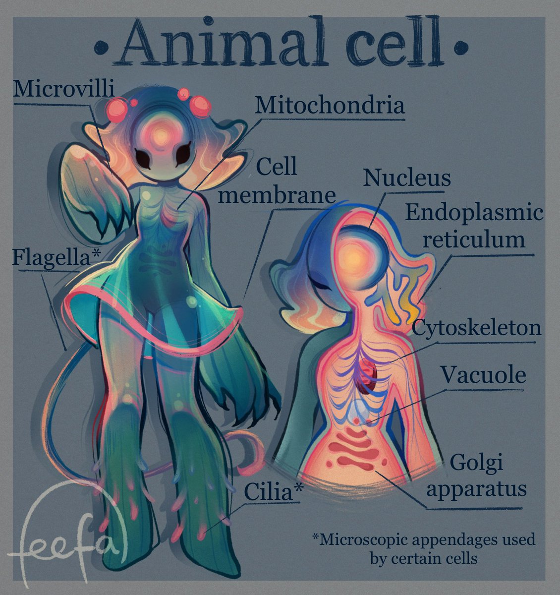 feefal_'s tweet image. Animal cells, the building block of our bodies🧬