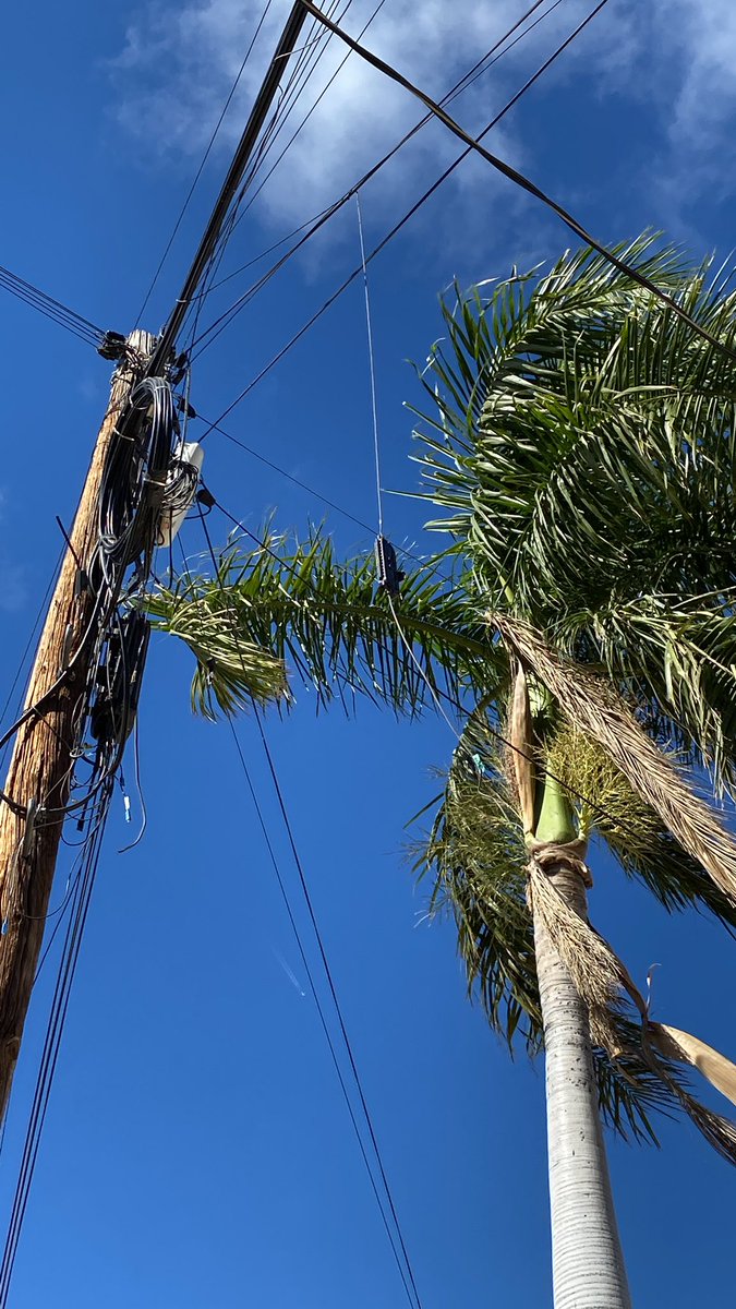 TitanesTeam's tweet photo. Y tambien sin Telmex andan con todo estos operadores de maquinaria @TELMEXSoluciona @tonoastiazaran @CIDUE_HMO @HermosilloGob https://t.co/3HZIwlMc9r