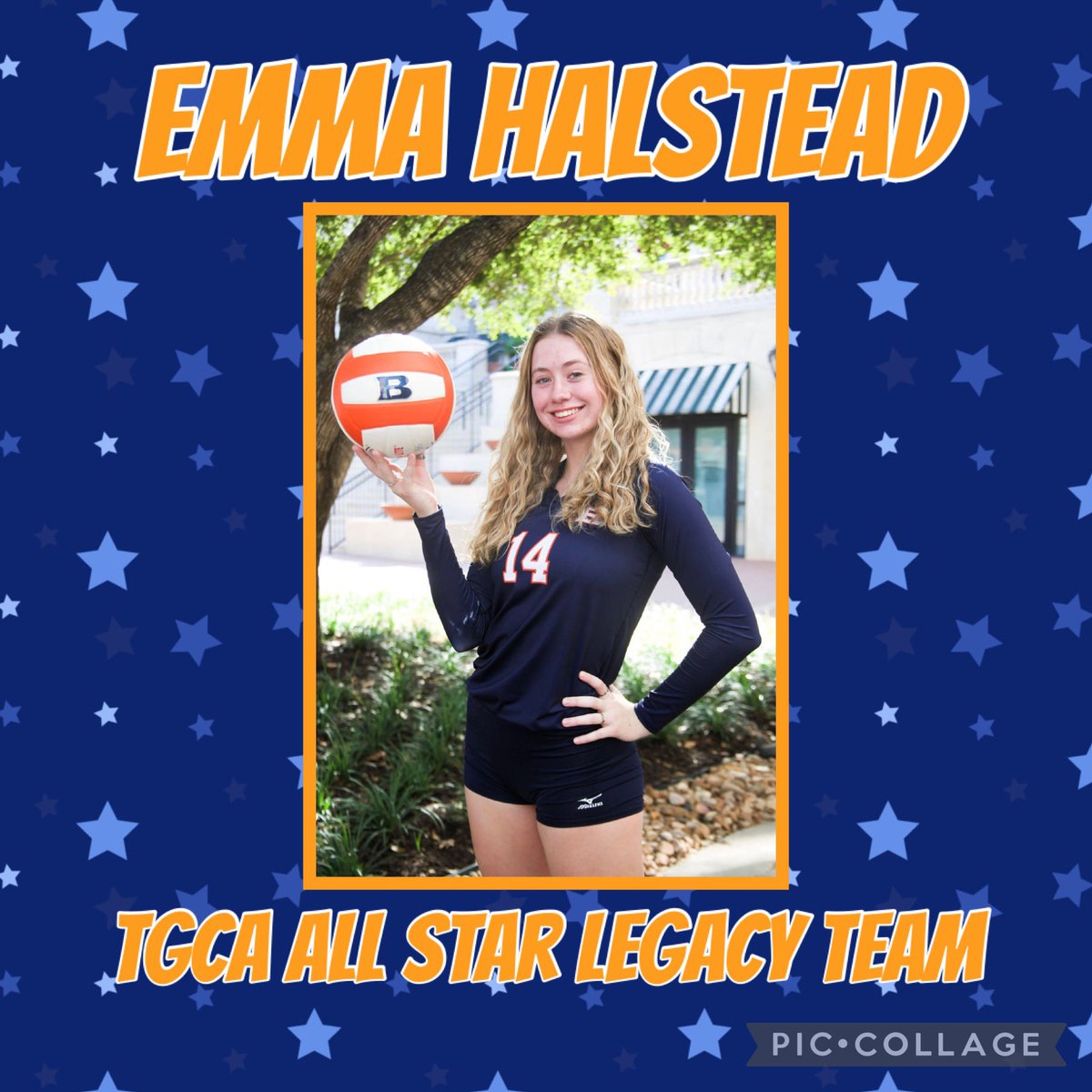 Brandeis Volleyball tweet media