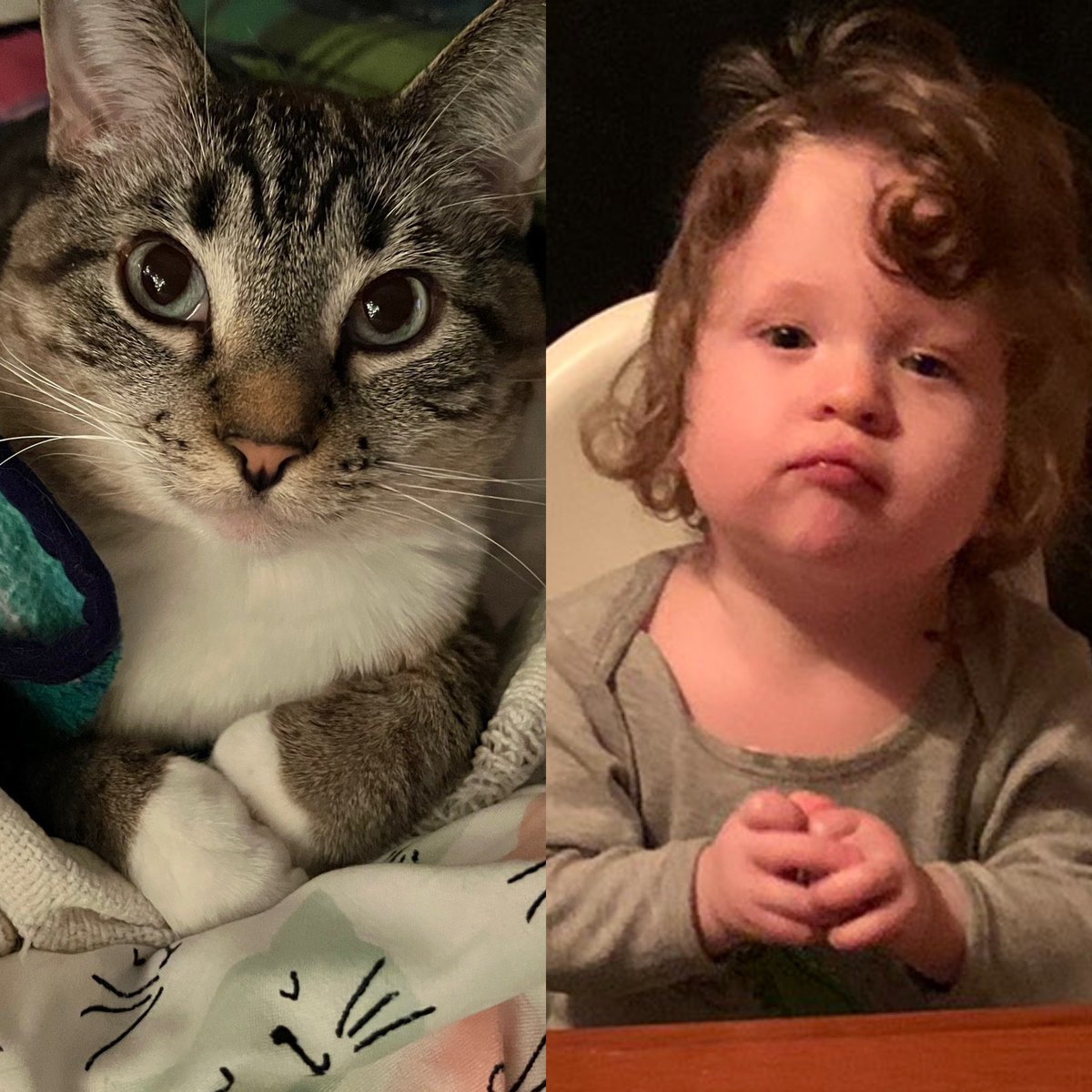 ItsMeDeaner's tweet image. @maisy_baby Same vibe #godfather #offeryoucantrefuse