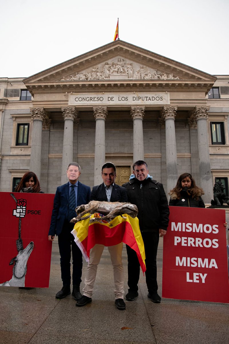Stop maltrato animal en España tweet media