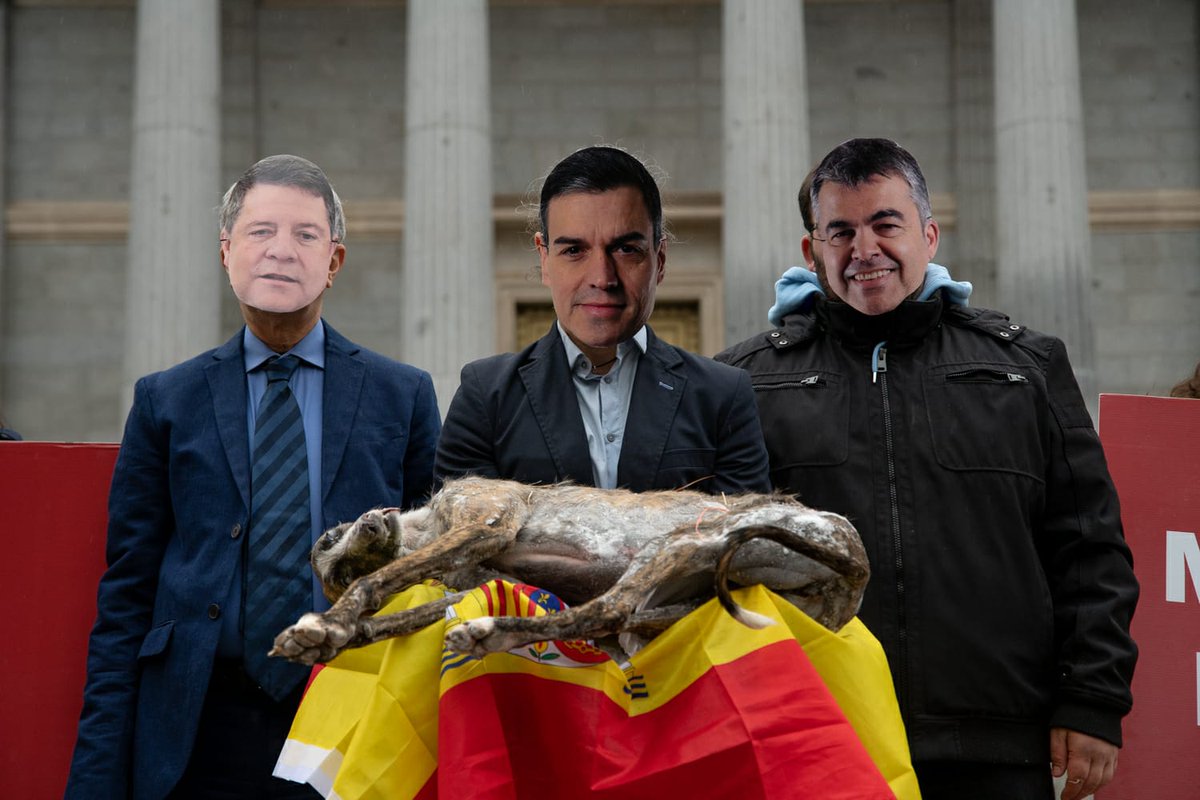 Stop maltrato animal en España tweet media