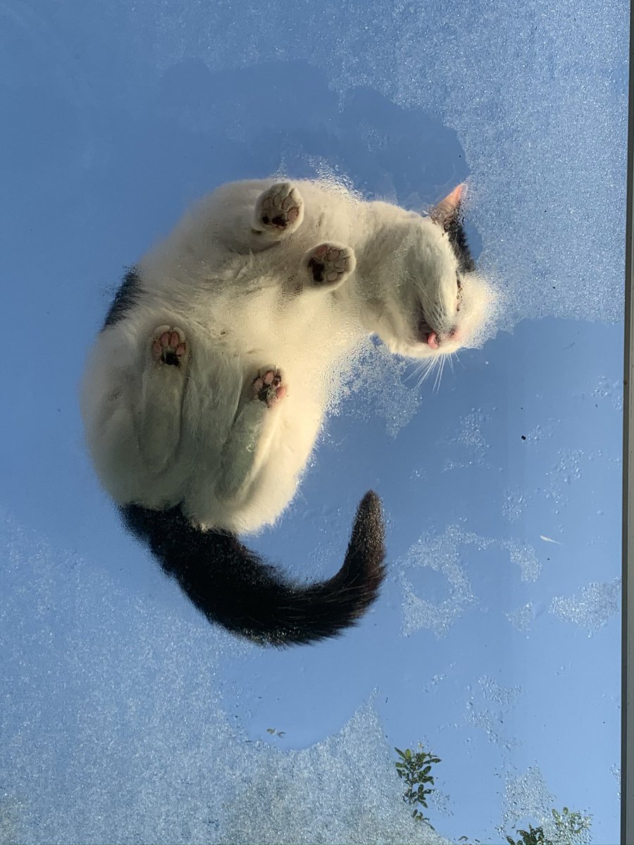 Isabel Parker tweet media