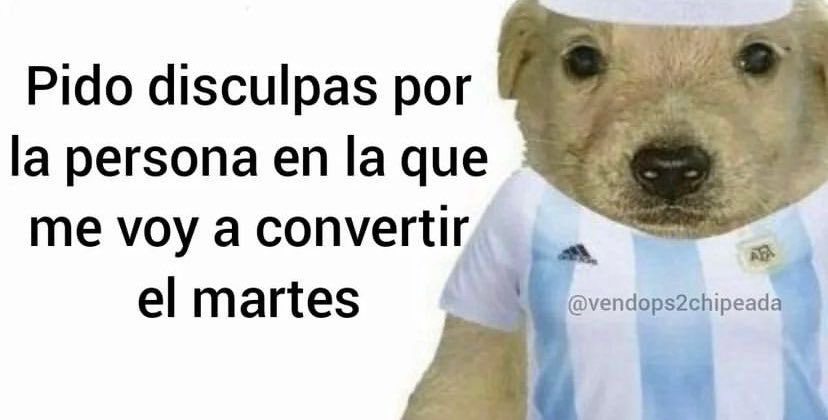 pupinaplomer's tweet photo. Primer aviso. https://t.co/mJEGID8Mli