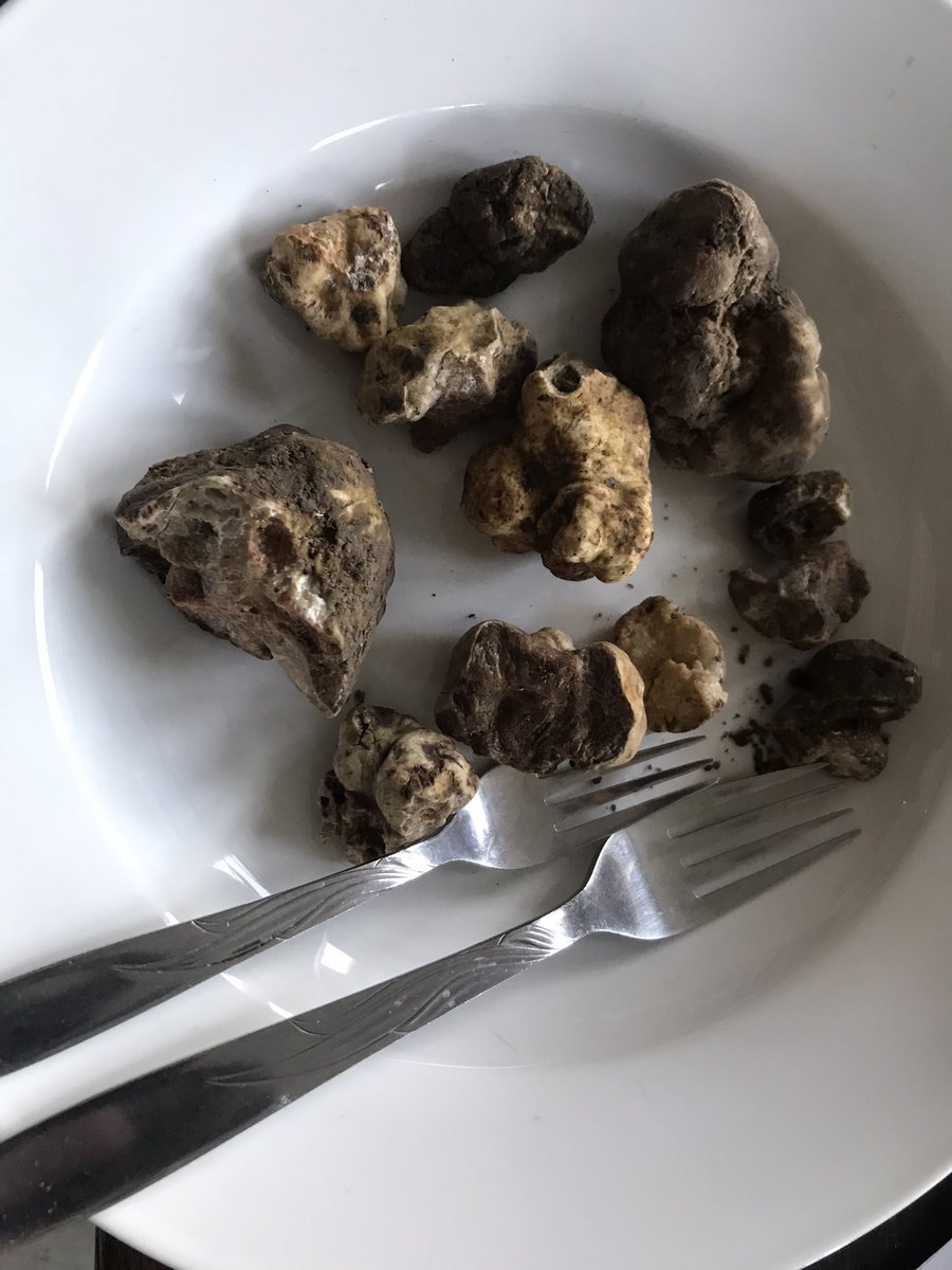 stopcontact's tweet image. Zondag 18 dec kerstmarkt bij @DeGroeneAfslag en daar heerlijke verse #truffel uit le Marche, Itali. Daar ook truffelboter voor je kerstdiner