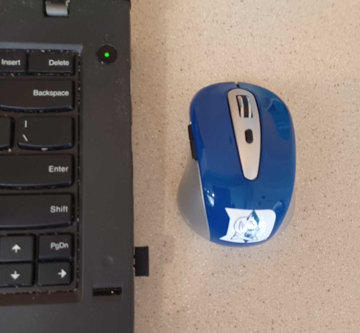 tamaraddunn's tweet photo. Hostile work environment: I have to use this enemy mouse to do my work today. #neverduke #wakeforestgrad https://t.co/AroKQWduN6