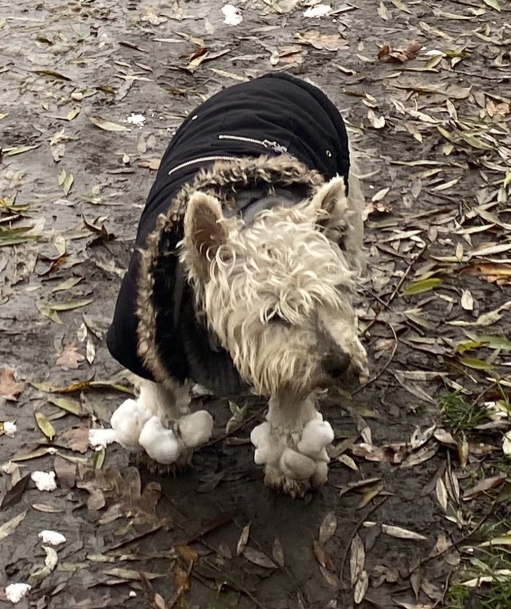 One of the Family tweet media