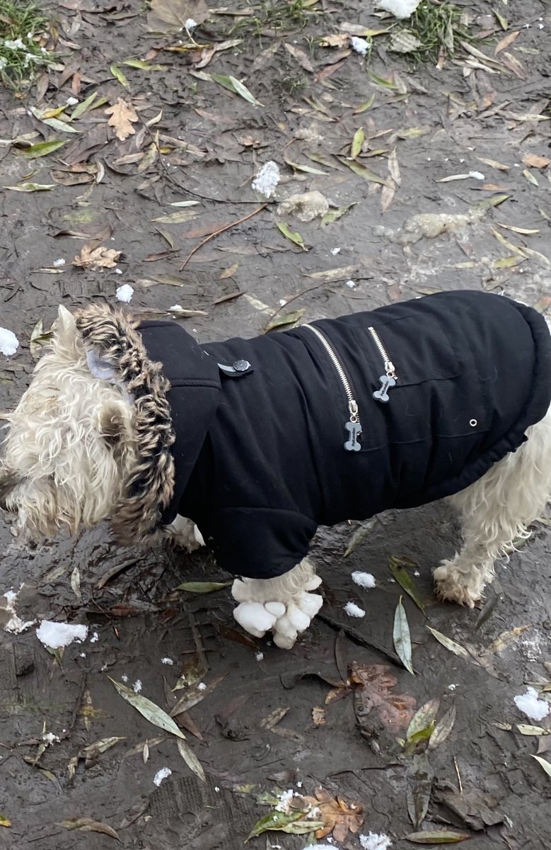 One of the Family tweet media