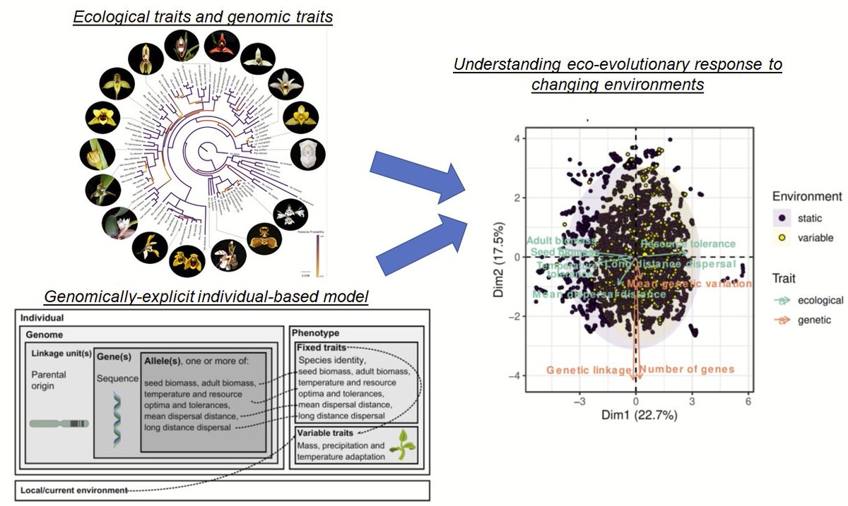 Juliano Sarmento Cabral tweet media