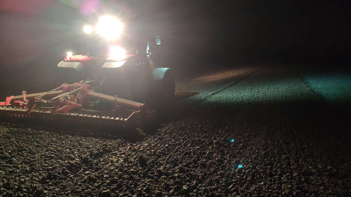 Doeko van'tWesteinde tweet media