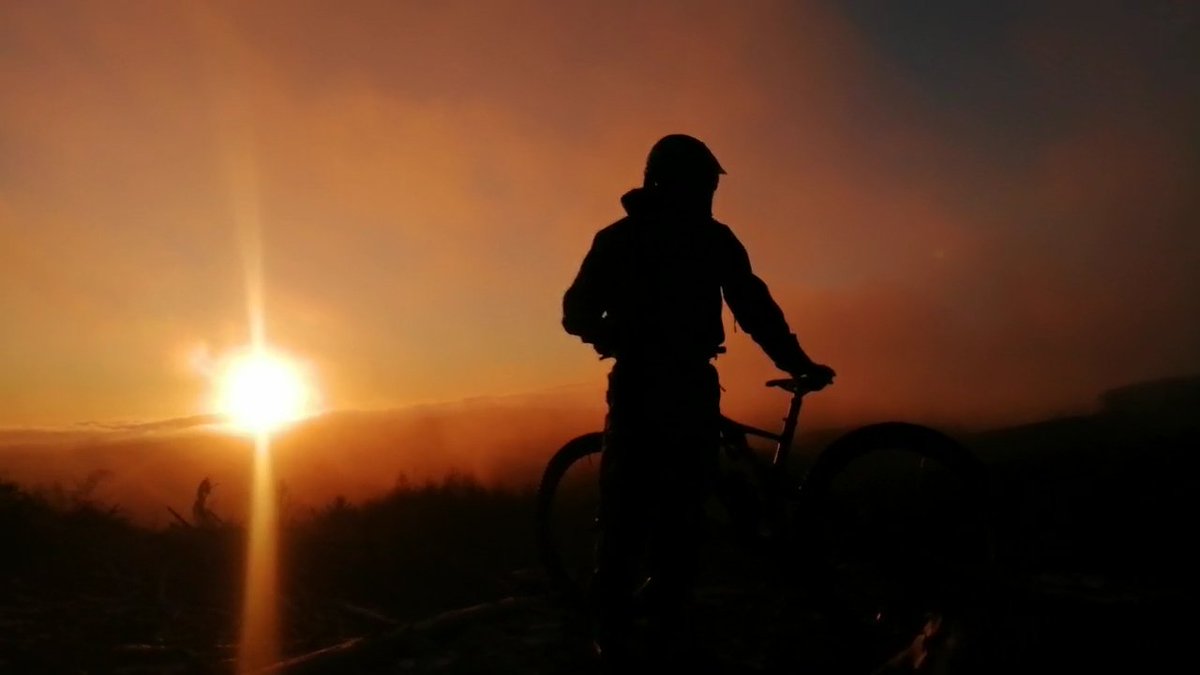 trashfreemtb.ie tweet media