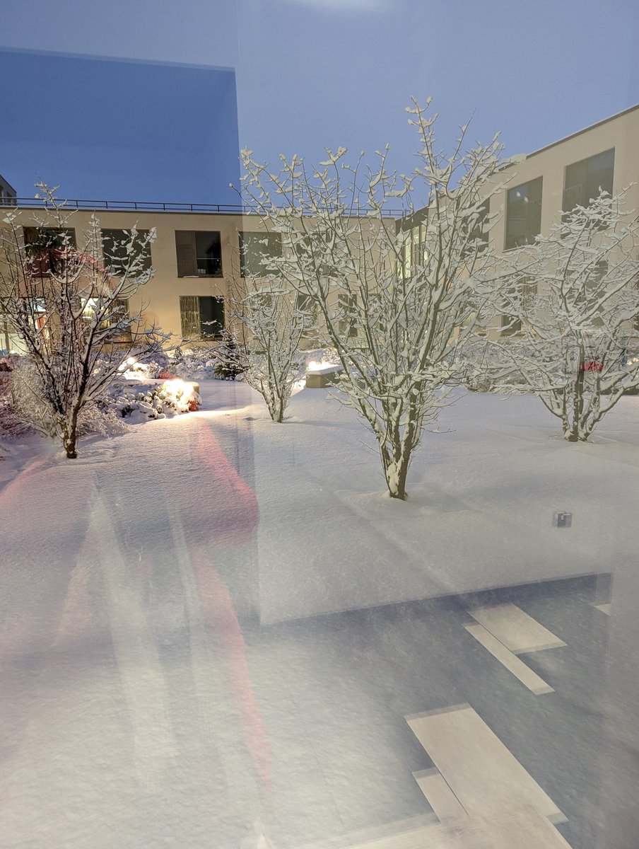 Jennie Bloom tweet media